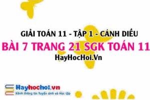 Giải bài 7 trang 21 Toán 11 tập 1 SGK Cánh Diều